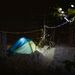 Tent Bulb LED 1.0